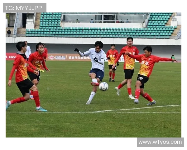 南京足球队逆袭之路：城市联赛中的奋斗与荣耀
