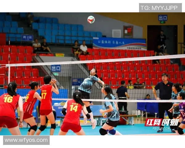 聚焦排球：探讨北京排球队员个人能力提升与团队协作的关系