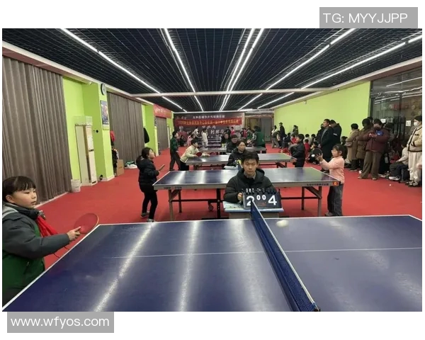 赵军独家分享乒乓球技巧与心得助你提升球技的秘诀与经验总结