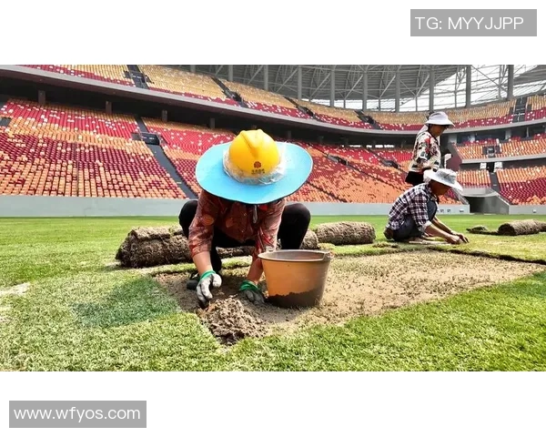 重庆足球队在足球团队协作排行榜中荣获第五名展现出强大团队精神与实力