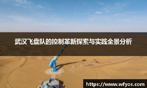 武汉飞盘队的控制革新探索与实践全景分析