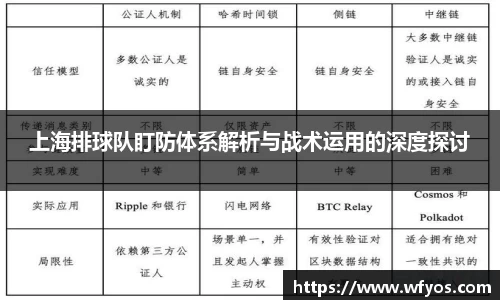 上海排球队盯防体系解析与战术运用的深度探讨