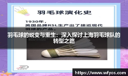 羽毛球的蜕变与重生：深入探讨上海羽毛球队的转型之路